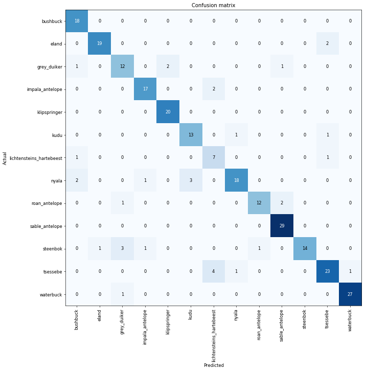 African Antelope: A Case Study of Creating an Image Dataset with FastAI