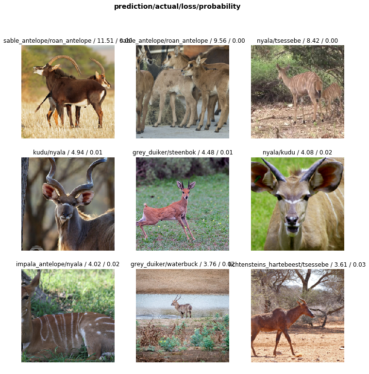 African Antelope: A Case Study of Creating an Image Dataset with FastAI