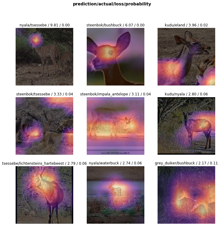 African Antelope: A Case Study of Creating an Image Dataset with FastAI